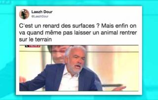 Pascal Praud et les renards de surface